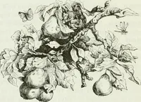 An illustration from Les anglais peints par eux-mêmes : par les sommités littéraires de l'Angleterre (1840)