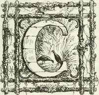 An illustration from Les anglais peints par eux-mêmes : par les sommités littéraires de l'Angleterre (1840)