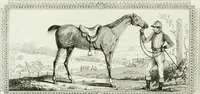 An illustration from Les anglais peints par eux-mêmes : par les sommités littéraires de l'Angleterre (1840)