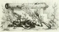 An illustration from Les anglais peints par eux-mêmes : par les sommités littéraires de l'Angleterre (1840)