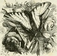 An illustration from Les anglais peints par eux-mêmes : par les sommités littéraires de l'Angleterre (1840)