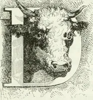 An illustration from Les anglais peints par eux-mêmes : par les sommités littéraires de l'Angleterre (1840)