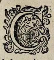 An illustration from Les antiquitez et recherches des villes, chasteaux, et places plus remarquables de France : selon l'ordre & ressort des Parlement : oeuvre enrichy des fondations, situations & singularitez des villes, places, & autres choses notables, concernant les parlemens, iurisdictionns, eglises & police de ce royaume (1668)