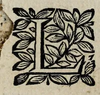 An illustration from Les antiquitez et recherches des villes, chasteaux, et places plus remarquables de France : selon l'ordre & ressort des Parlement : oeuvre enrichy des fondations, situations & singularitez des villes, places, & autres choses notables, concernant les parlemens, iurisdictionns, eglises & police de ce royaume (1668)