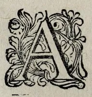 An illustration from Les antiquitez et recherches des villes, chasteaux, et places plus remarquables de France : selon l'ordre & ressort des Parlement : oeuvre enrichy des fondations, situations & singularitez des villes, places, & autres choses notables, concernant les parlemens, iurisdictionns, eglises & police de ce royaume (1668)