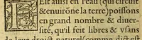 An illustration from Les antiquitez et singularitez du monde. (1557)