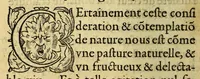 An illustration from Les antiquitez et singularitez du monde. (1557)