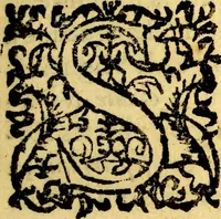 An illustration from Les antiquitez, raretez, plantes, mineraux, & autres choses considerables de la ville, & comté deCastres d'Albigeois : & des lieux qui sont à ses enuirons, auec l'histoire de ses comtes, euesq ues, &c. : et vn recueil des inscriptions romaines, & autres antiquitez du Languedoc, & Prouence : auec le roolle des principaux cabinets, & autres raretez de l'Europe : comme aussi le catalog des choses rares de Maistre Pierre Borel, Docteur en Medecine (1649)