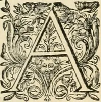 Picture 6 of 32 from Les armes triomphantes de Son Altesse, monseigneur, le duc d'Espernon : pour le suiet de son heureuse entrée faite dans la ville de Dijon, le huictième iour du mois de may, mil six cens cinquante six (1656), leaf 14