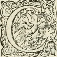 Picture 10 of 32 from Les armes triomphantes de Son Altesse, monseigneur, le duc d'Espernon : pour le suiet de son heureuse entrée faite dans la ville de Dijon, le huictième iour du mois de may, mil six cens cinquante six (1656), leaf 28