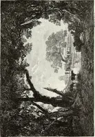 Picture 71 of 159 from Les Artistes français contemporains : peintres, sculpteurs (1885), leaf 318