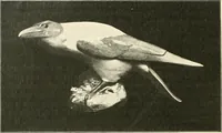 An illustration from Les arts de la terre--céramique--verrerie--émaillerie--mosaïque--vitrail (1911)