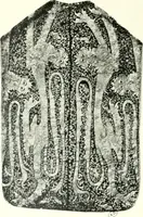 An illustration from Les arts du tissu (1909)