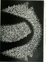 An illustration from Les arts du tissu (1909)
