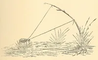An illustration from Les Baluba (Congo Belge) (1913)