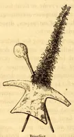 Picture 12 of 20 from Les Bassoutos; ou, Vingt-trois années de séjour et d'observations au sud de l'Afrique (1859), leaf 180