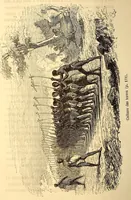 An illustration from Les Bassoutos; ou, Vingt-trois années de séjour et d'observations au sud de l'Afrique (1859)