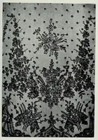 An illustration from Les broderies et les dentelles (cours en quarante leçonś) (1905)
