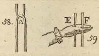 Picture 14 of 18 from L'escamoteur habile; (1816), leaf 128