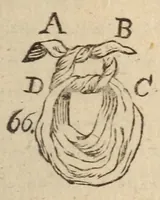 An illustration from L'escamoteur habile; (1816)