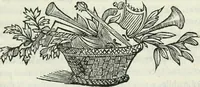 An illustration from Le scelte pitture di Brescia additate al forestiere (1700)