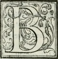 An illustration from Le scelte pitture di Brescia additate al forestiere (1700)
