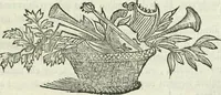Picture 13 of 20 from Le scelte pitture di Brescia additate al forestiere (1700), leaf 222