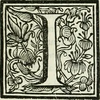 An illustration from Le scelte pitture di Brescia additate al forestiere (1700)