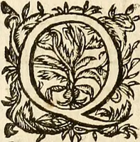 Picture 14 of 28 from Les characteres des passions (1640), leaf 148