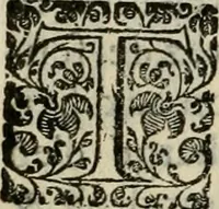 An illustration from Les Chartes nouvelles du pays et comté de Haynnau .. (1666)