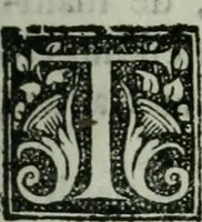 An illustration from Les Chartes nouvelles du pays et comté de Haynnau .. (1666)
