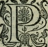 An illustration from Les Chartes nouvelles du pays et comté de Haynnau .. (1666)