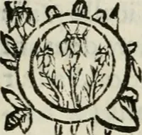 An illustration from Les Chartes nouvelles du pays et comté de Haynnau .. (1666)