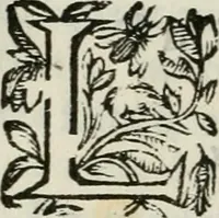 An illustration from Les Chartes nouvelles du pays et comté de Haynnau .. (1666)