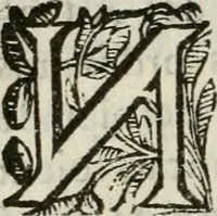 An illustration from Les Chartes nouvelles du pays et comté de Haynnau .. (1666)