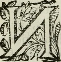 An illustration from Les Chartes nouvelles du pays et comté de Haynnau .. (1666)