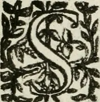 An illustration from Les Chartes nouvelles du pays et comté de Haynnau .. (1666)