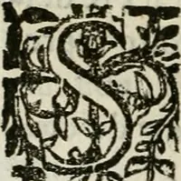 An illustration from Les Chartes nouvelles du pays et comté de Haynnau .. (1666)