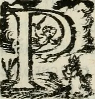 An illustration from Les Chartes nouvelles du pays et comté de Haynnau .. (1666)