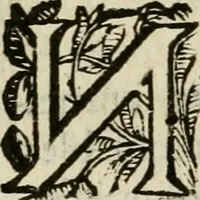 An illustration from Les Chartes nouvelles du pays et comté de Haynnau .. (1666)
