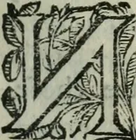 An illustration from Les Chartes nouvelles du pays et comté de Haynnau .. (1666)