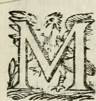 An illustration from Les Chartes nouvelles du pays et comté de Haynnau .. (1666)