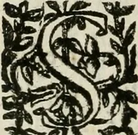 An illustration from Les Chartes nouvelles du pays et comté de Haynnau .. (1666)