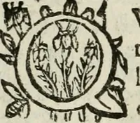 Picture 12 of 53 from Les Chartes nouvelles du pays et comté de Haynnau .. (1666), leaf 51