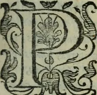 An illustration from Les Chartes nouvelles du pays et comté de Haynnau .. (1666)