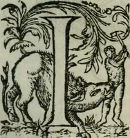 An illustration from Les Chartes nouvelles du pays et comté de Haynnau .. (1666)