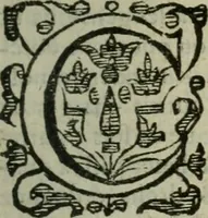 An illustration from Les Chartes nouvelles du pays et comté de Haynnau .. (1666)