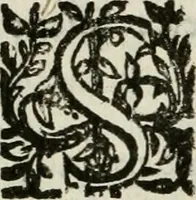 An illustration from Les Chartes nouvelles du pays et comté de Haynnau .. (1666)