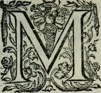 An illustration from Les Chartes nouvelles du pays et comté de Haynnau .. (1666)