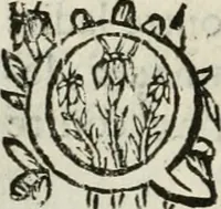 An illustration from Les Chartes nouvelles du pays et comté de Haynnau .. (1666)